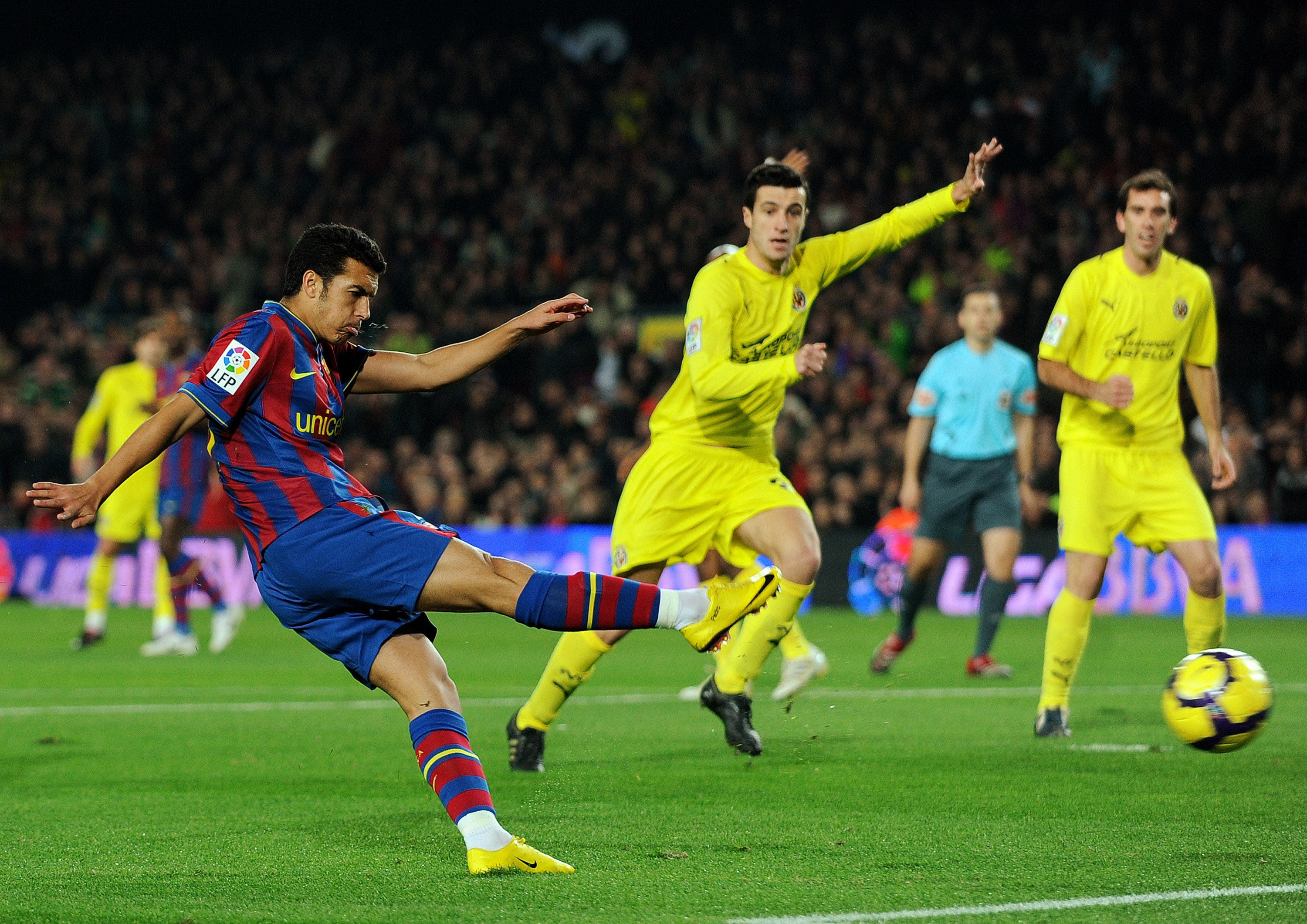 他们抓住老 他们抓住老